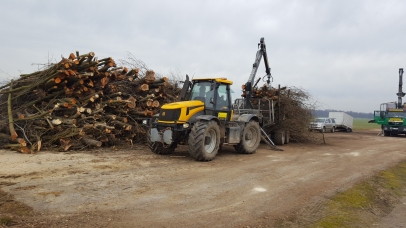 Odkup lesne biomase